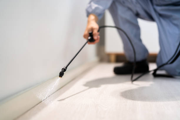 Licensed Rodent Control service in Gretna, VA - Nex Pest Control