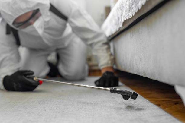 Professional Rodent Control technician working in Gretna, VA