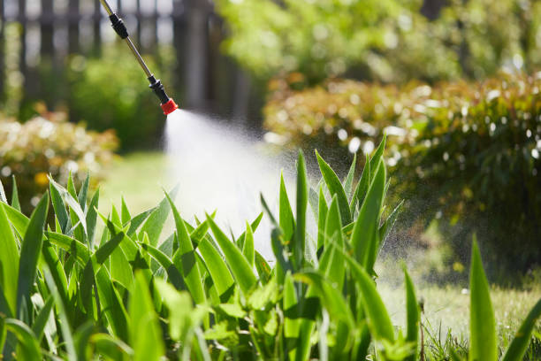 24/7 Emergency Rodent Control experts in Gretna, VA