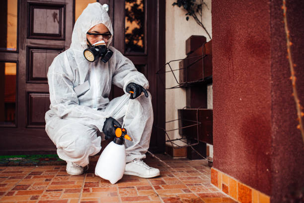 Reliable Rodent Control contractor in Gretna, VA by Nex Pest Control