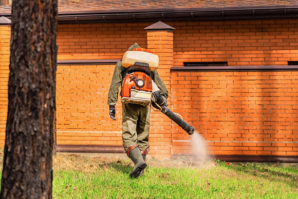 Trusted Bed Bug Control service in Gretna, VA - Nex Pest Control